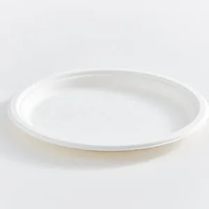 10" Round Fibre Compostable Plate