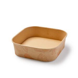 square bamboo bowl