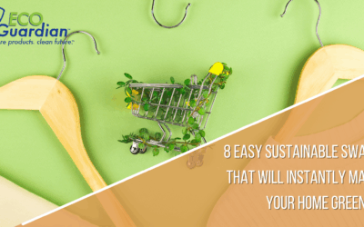 8 Easy Sustainable Swaps For Everyday Items